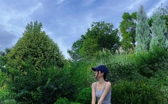 长月烬明37集在线观看